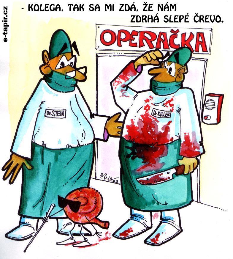 008 slepák-f3bd9273