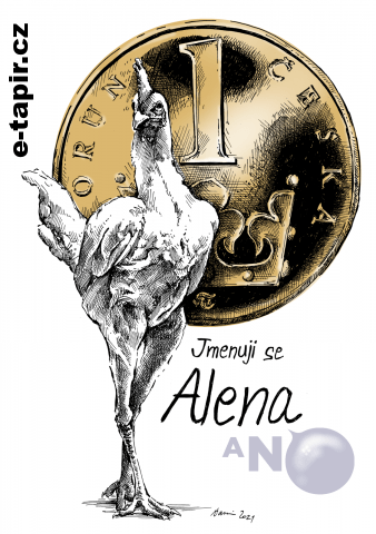 Slepice Alena kolor-7bdf2689