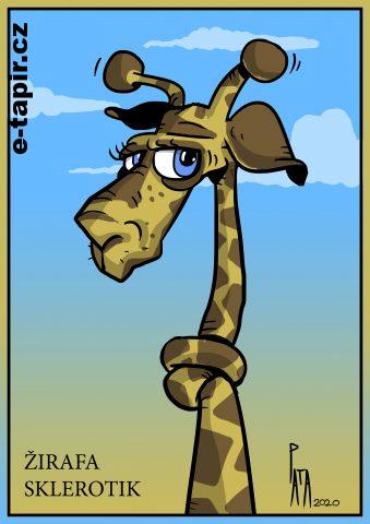 žirafa SKLEROTIK-14f8a504
