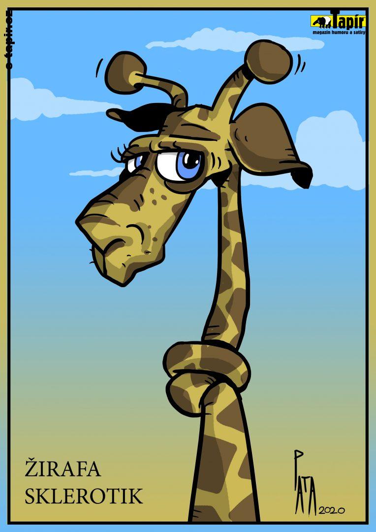 žirafa SKLEROTIK-14f8a504