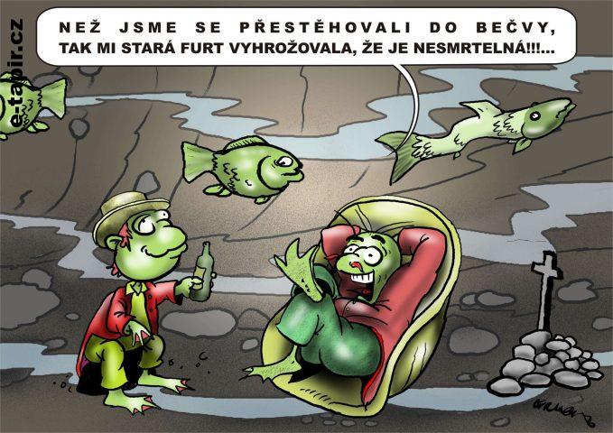 Nesmrtelná vodnice.-6f80648f