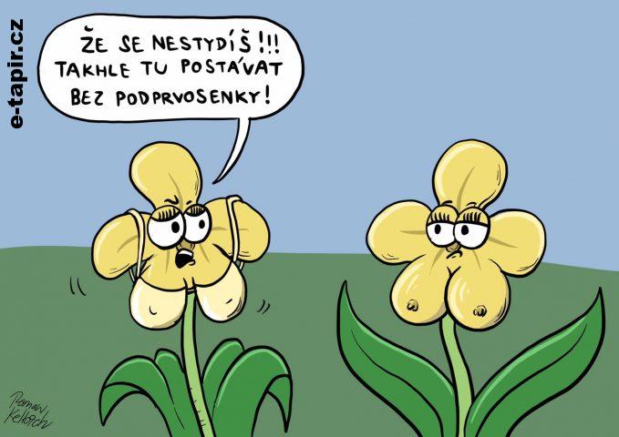 158941120_1595818663962213_6806357164896499511_o (2)-3b5ab974