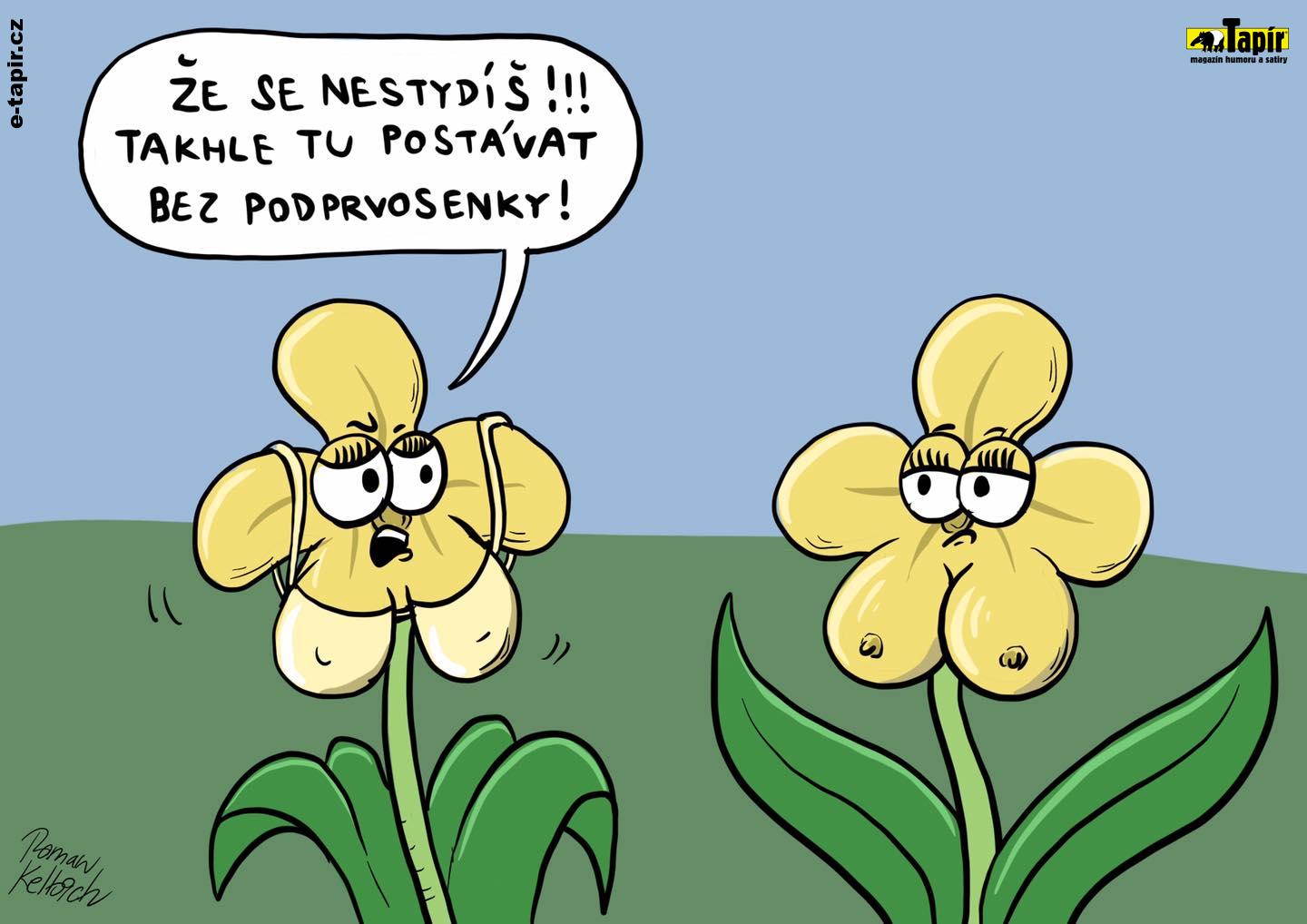 158941120_1595818663962213_6806357164896499511_o (2)-3b5ab974