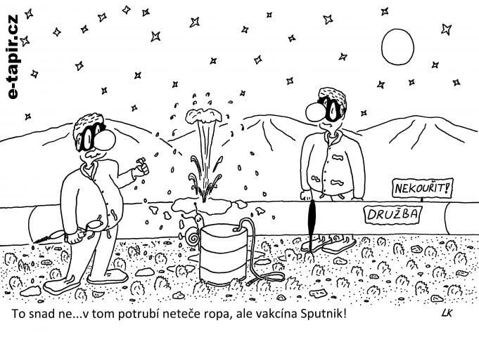 20210311 - 116-3093f61d