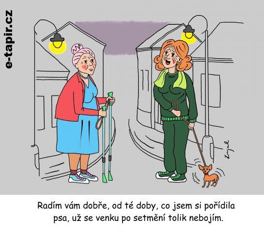 Pes ochránce-5fb1e63f