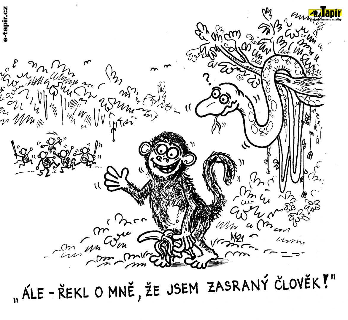 Skener_20210320-e88b79d8