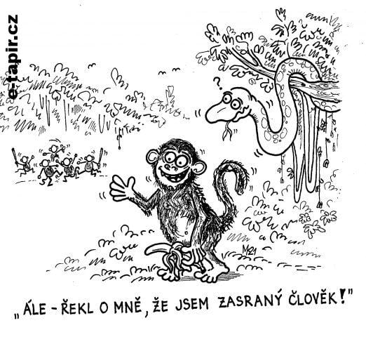 Skener_20210320-e88b79d8