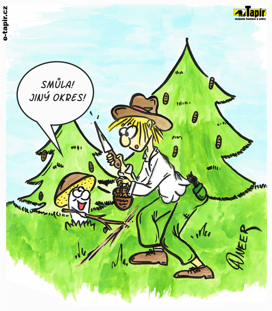 aneer_corona_les-70d7edd1