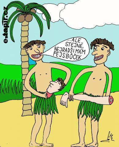 fejsbůček-b039f036