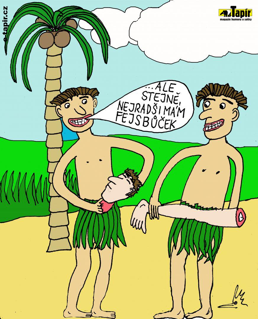 fejsbůček-b039f036