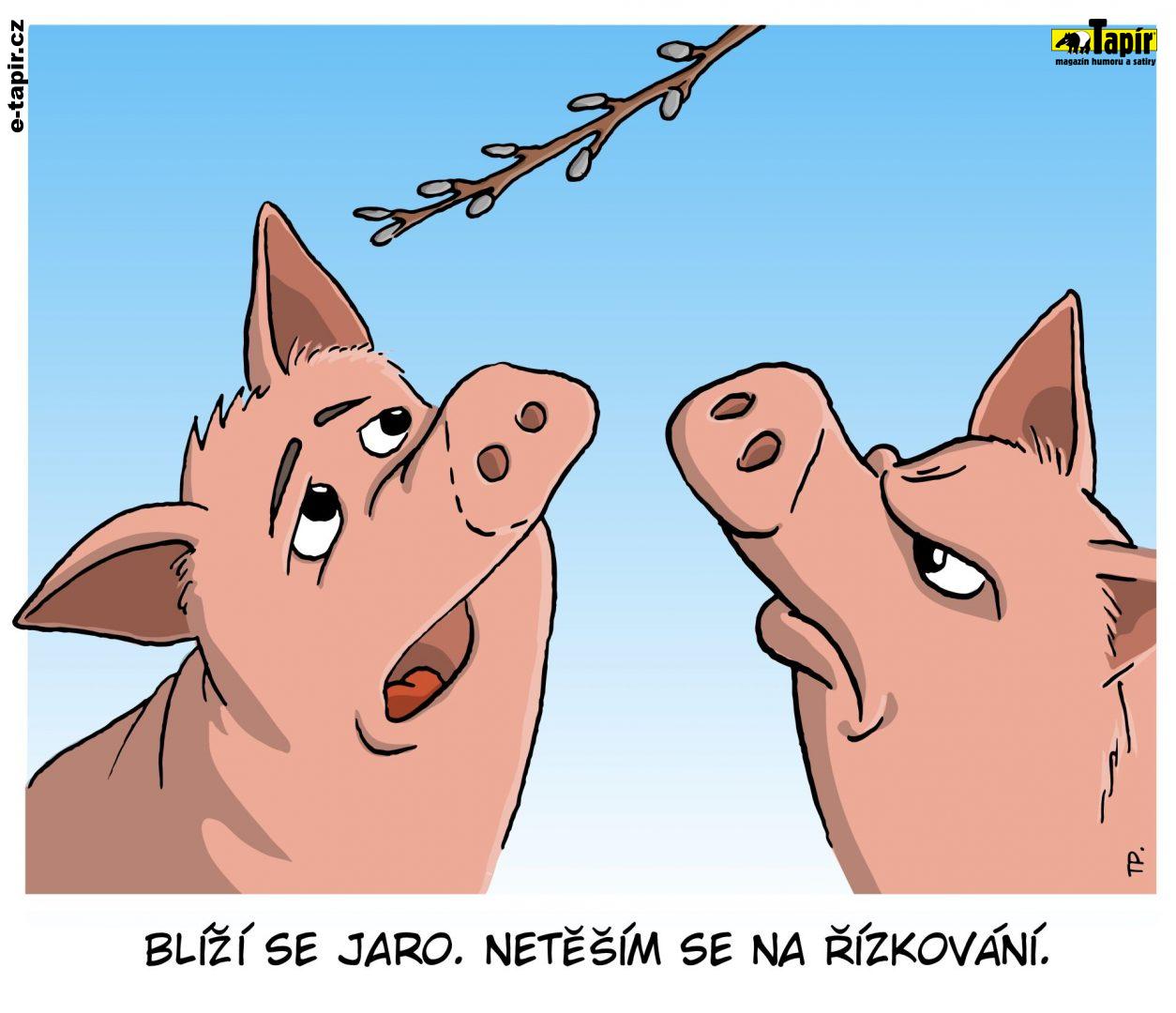 kalendar-tapir-01-f258e48c