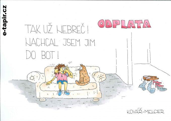 kočičí 05 - Tak už nebreč-c1bd45f1