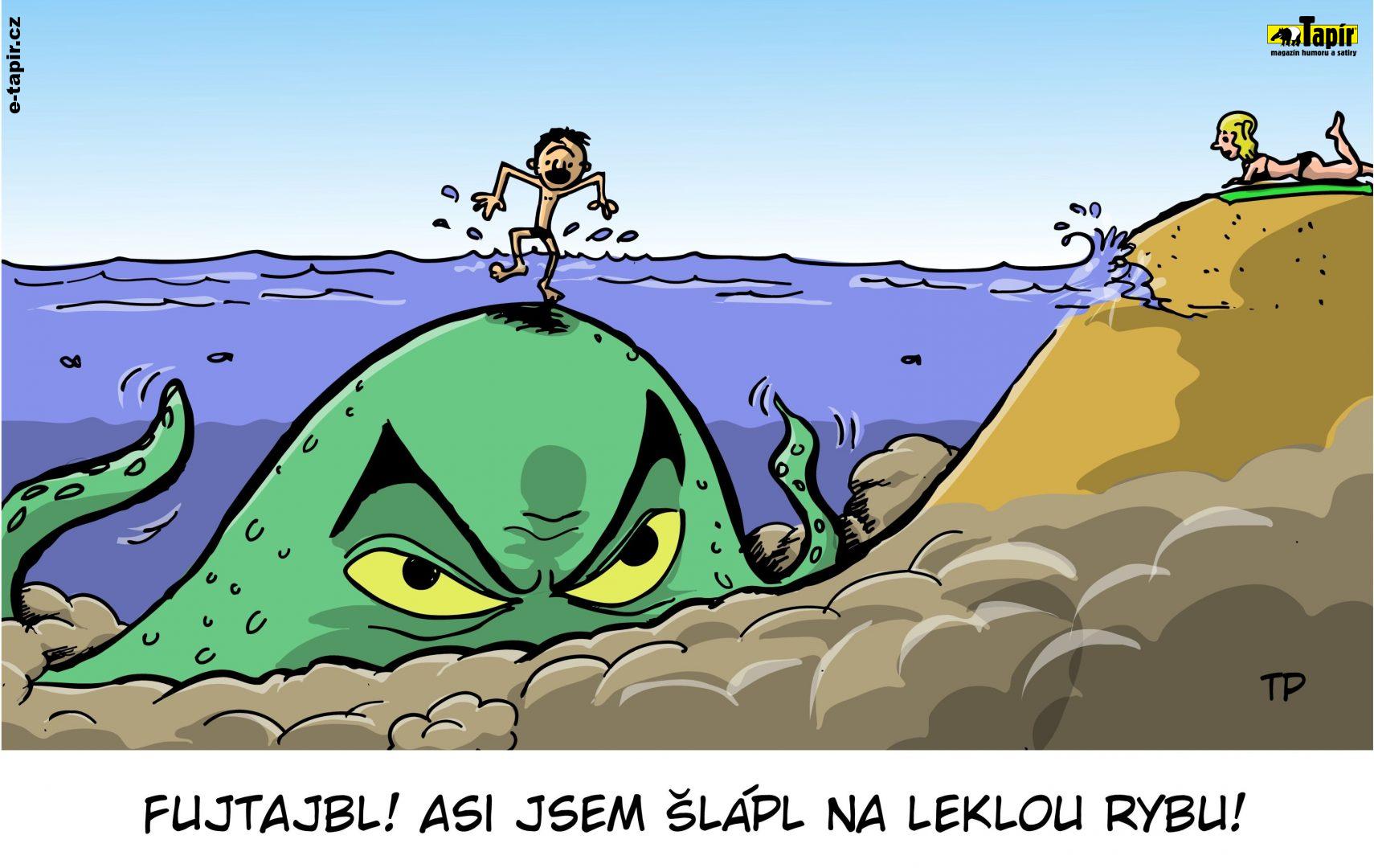 tapir cervenec 02_chobotnice-694558a6