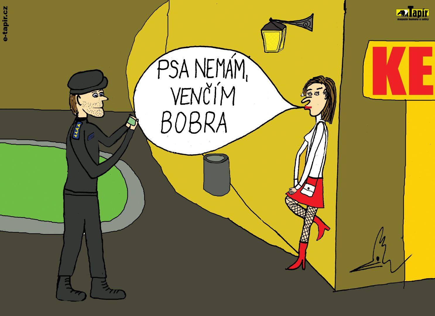 venčím bobra-4ab4b2a5