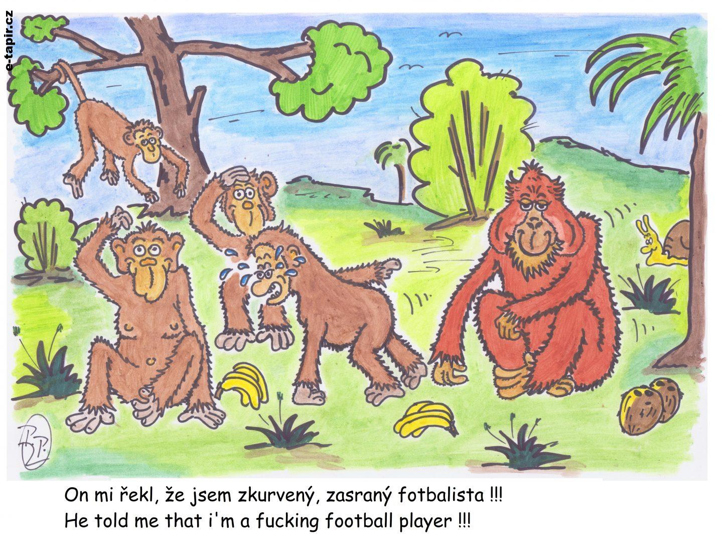 298 - Opičky-3ed4664a