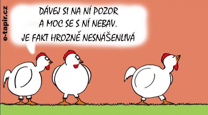 Borivoj Sveda - nesnasenliva-8960c3c5