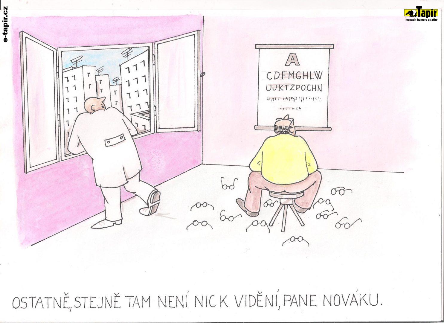 Obrázek (13)-95015871