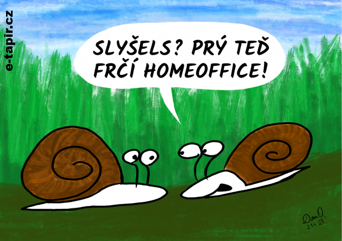 danq-2021-04-21-sneci-homeoffice-web-e82c5080