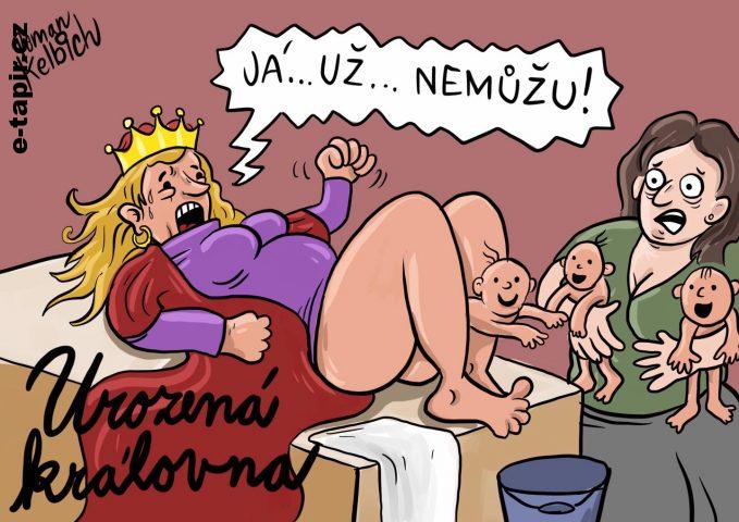 182704162_146781427454143_2034806924229695537_n-216e0722