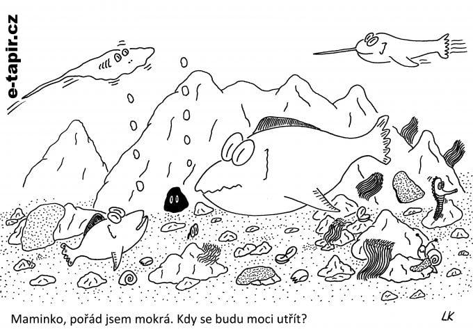 20210511 - 152-842eeac8