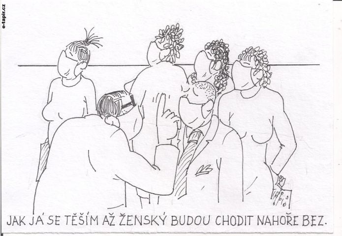 Obrázek (17)-762887cc