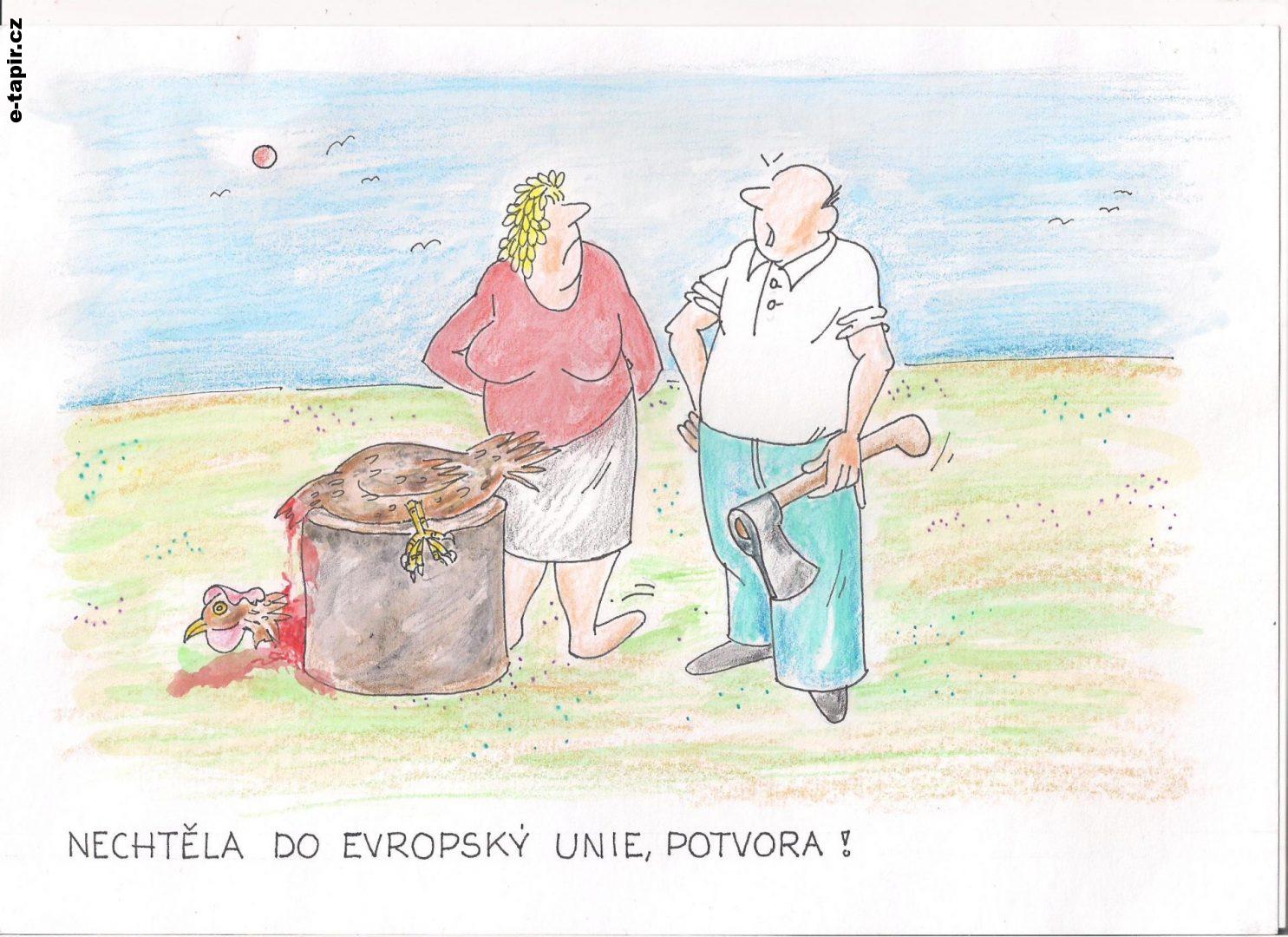 Obrázek (25)-abba5e38