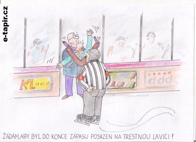 Obrázek (29)-27570789