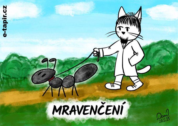 danq-2021-05-20-mravenceni-web-b5e55ffa
