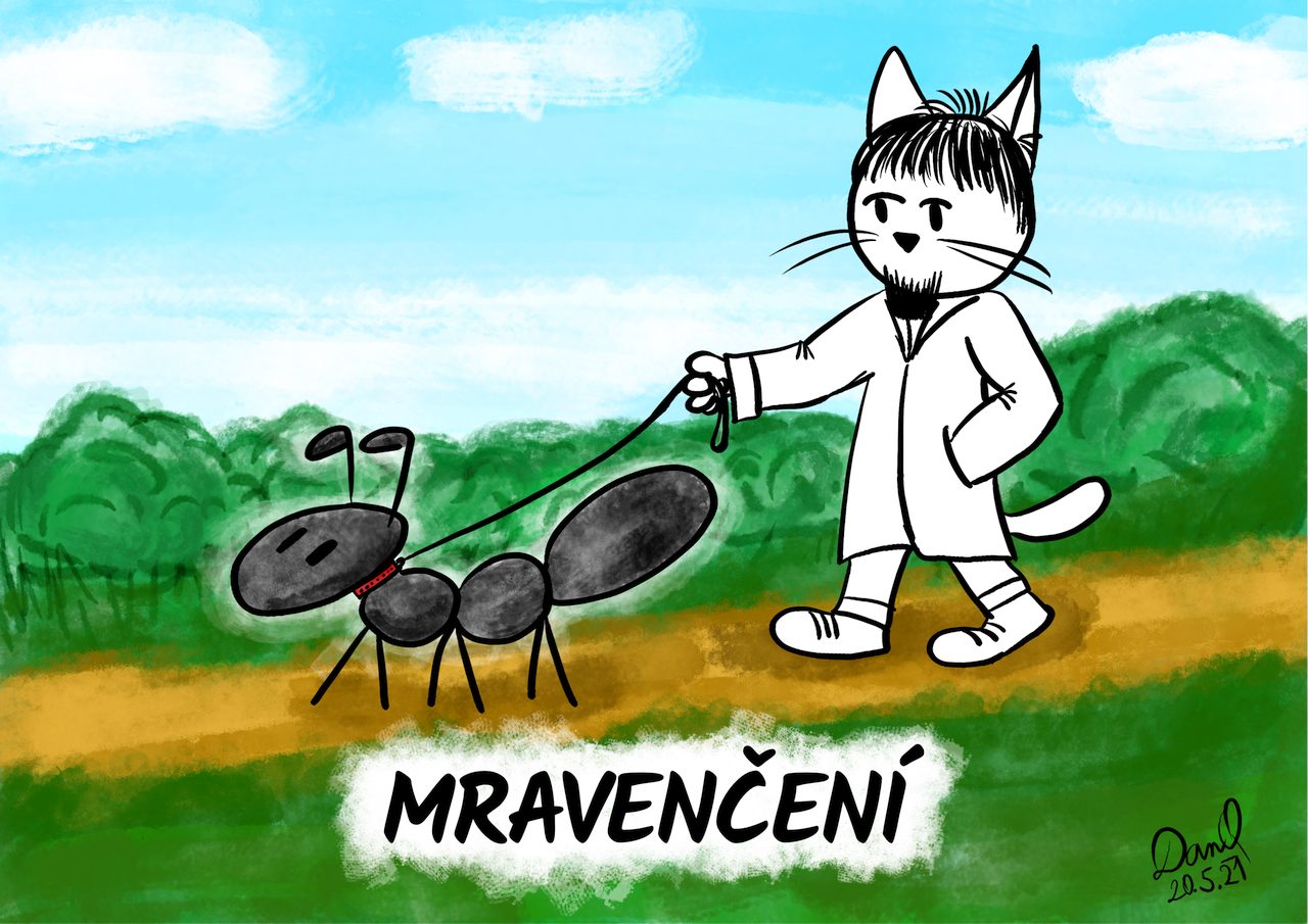danq-2021-05-20-mravenceni-web-b5e55ffa