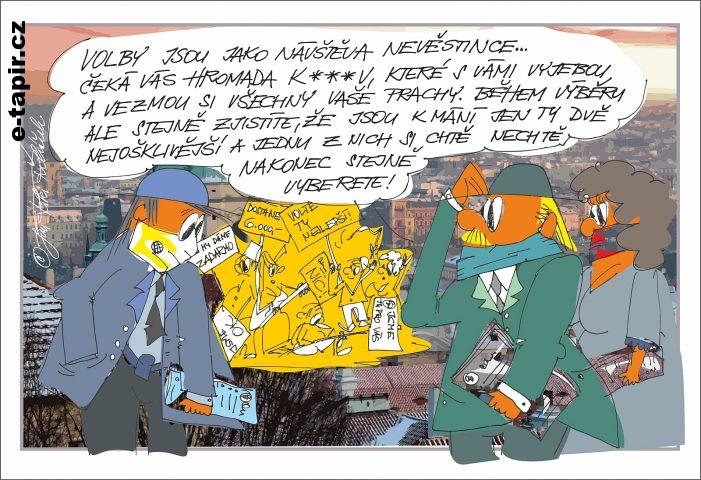 2021 - volby-a2225019