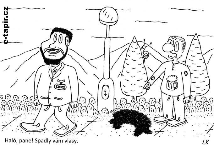 20210602 - 165-47fdf35f