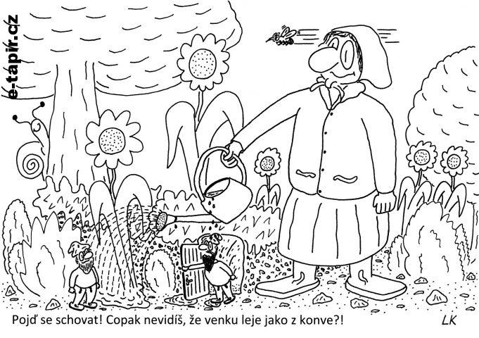 20210621 - 172-d3b67240