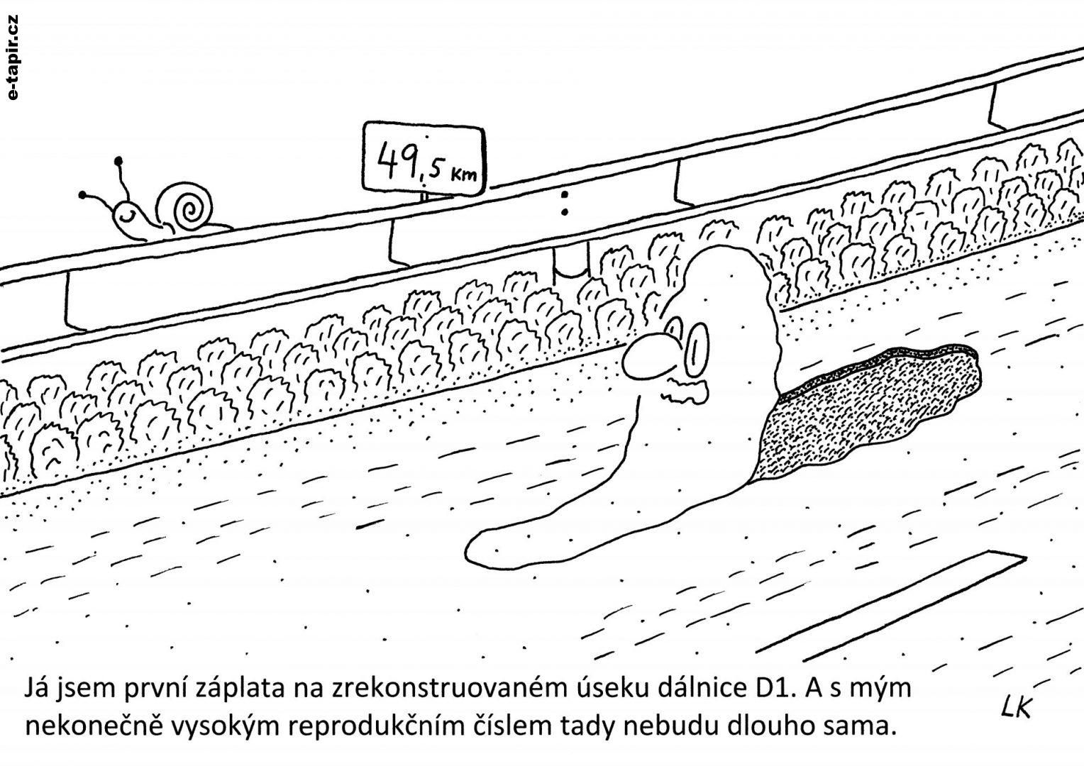 20210623 - 173-aa702db3