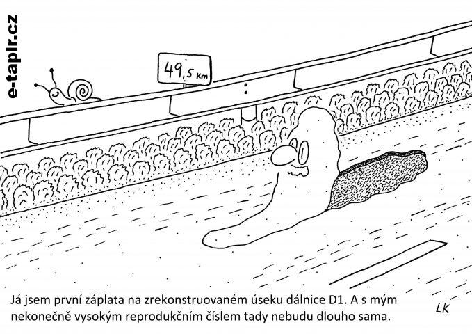 20210623 - 173-aa702db3