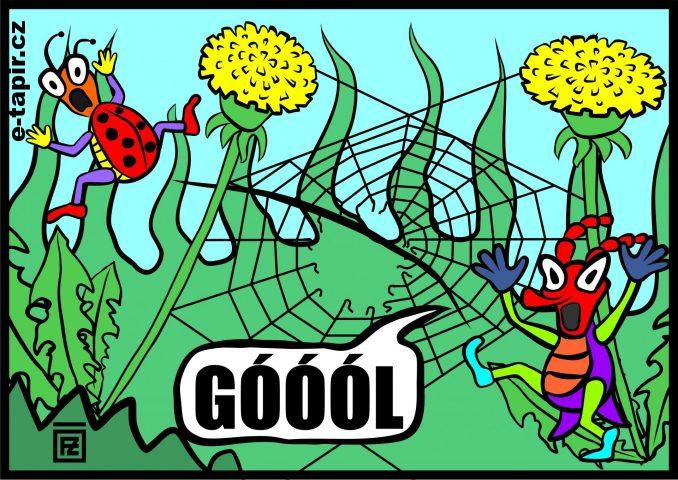 Frantisek Zigrai - gooool-e51aa5e8