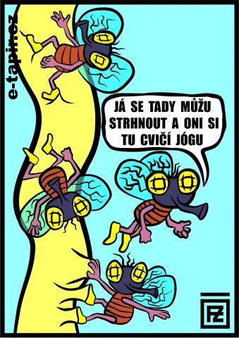 Frantisek Zigrai - mouchy-180d9665