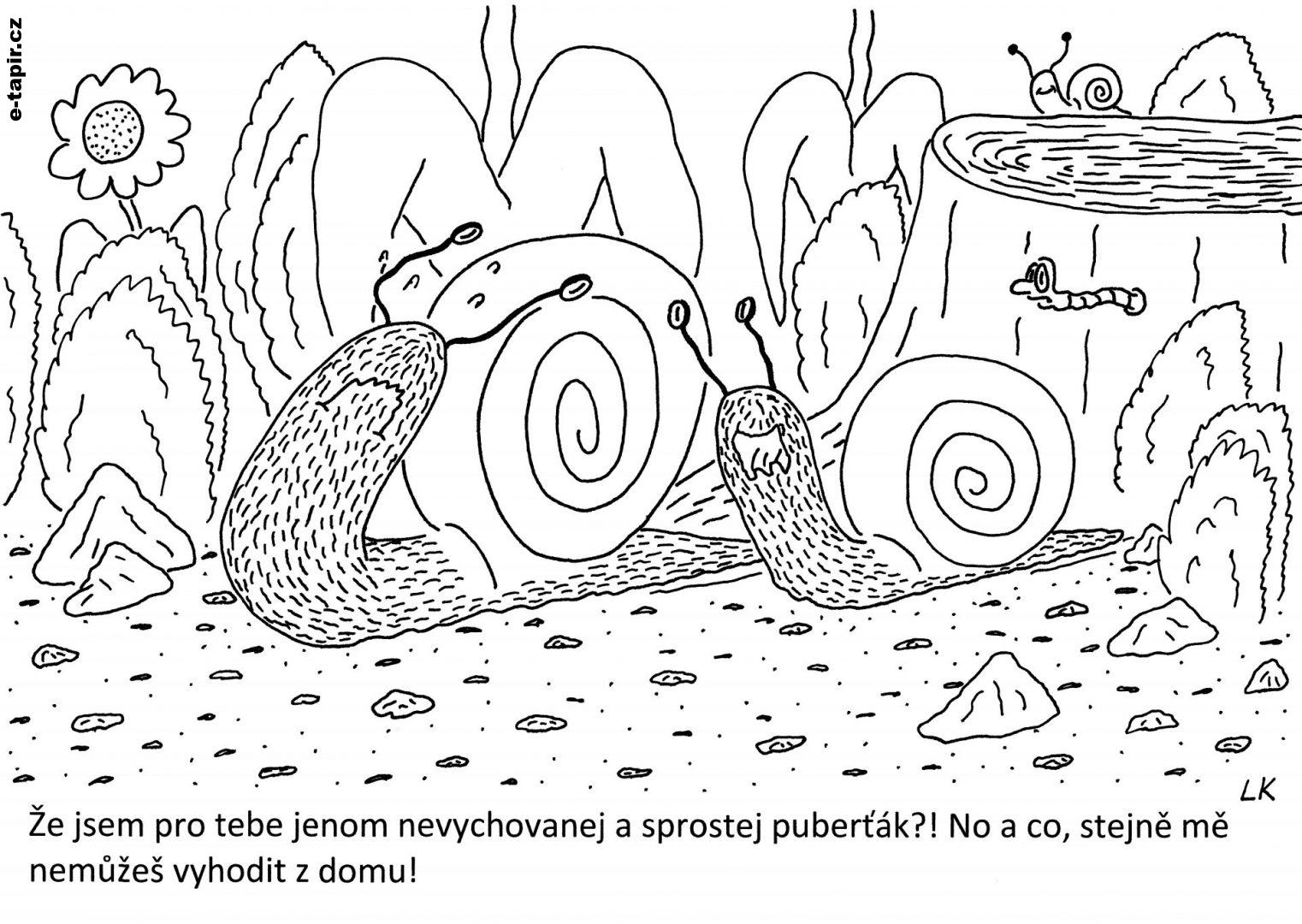 20210714 - 178-712c05c8