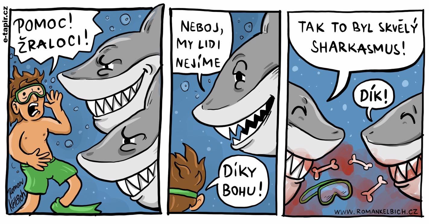 224126365_204816218317330_9063328383429924321_n-5ad6b564