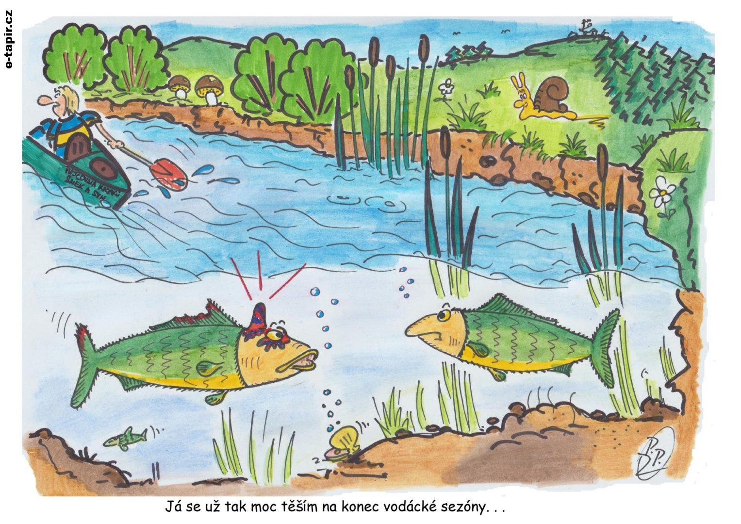 302 - Pstruh s boulí-0ec5a051