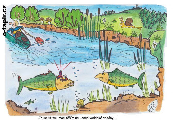 302 - Pstruh s boulí-0ec5a051