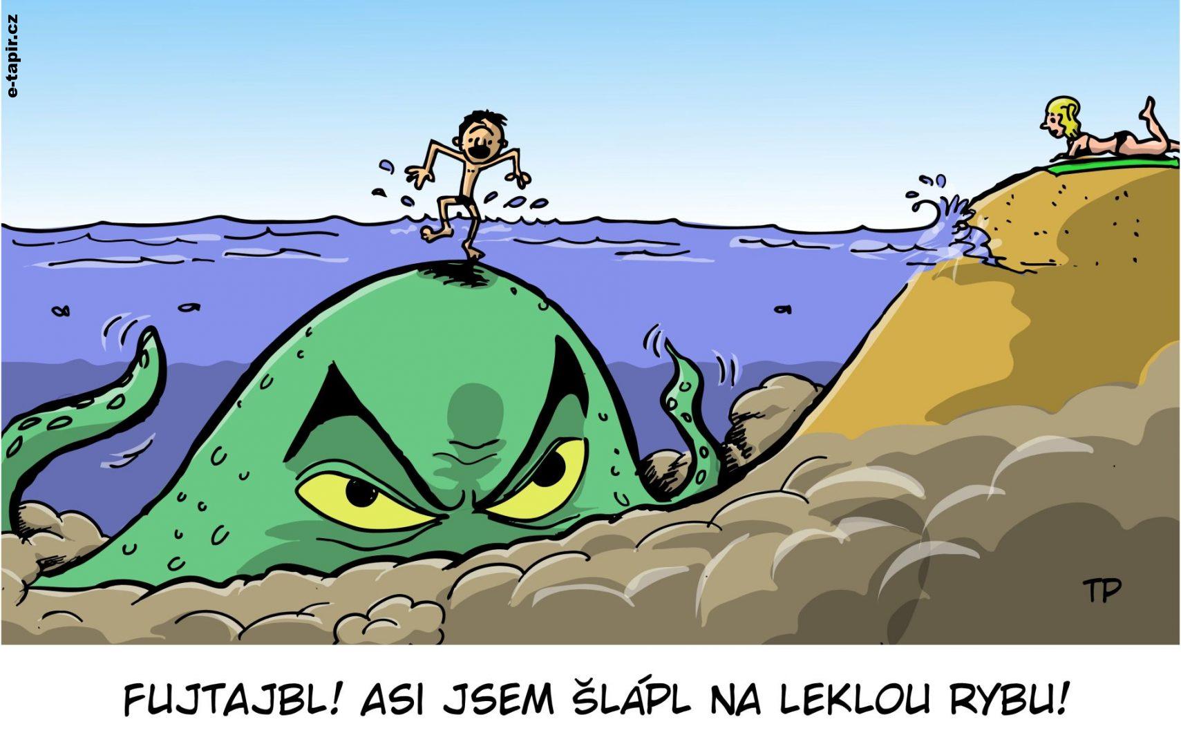 tapir cervenec 02_chobotnice-37c7380c