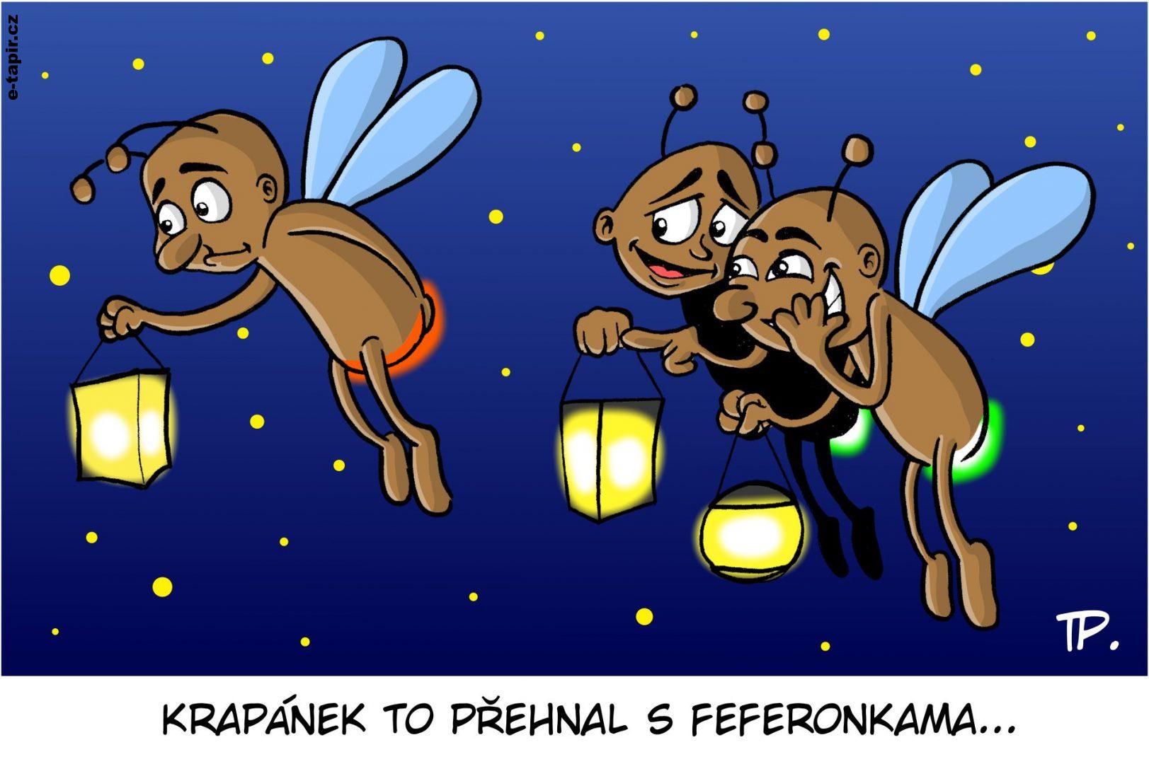 tapir03_pekarekt_broucci-62f34dc5