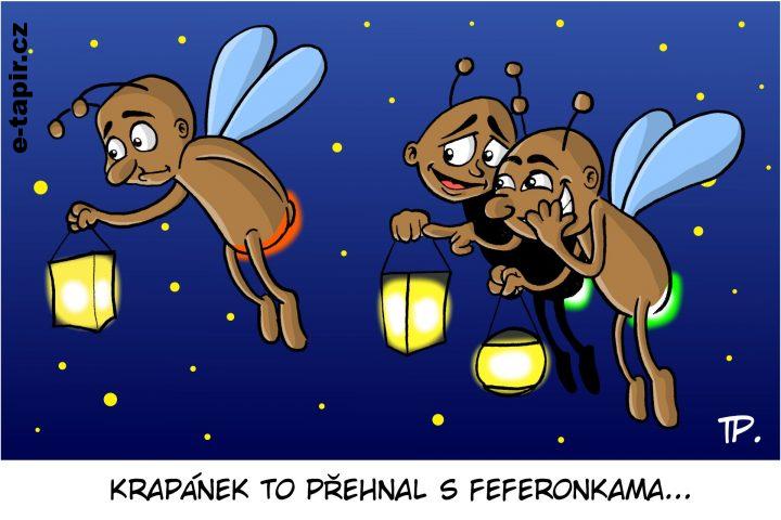 tapir03_pekarekt_broucci-62f34dc5