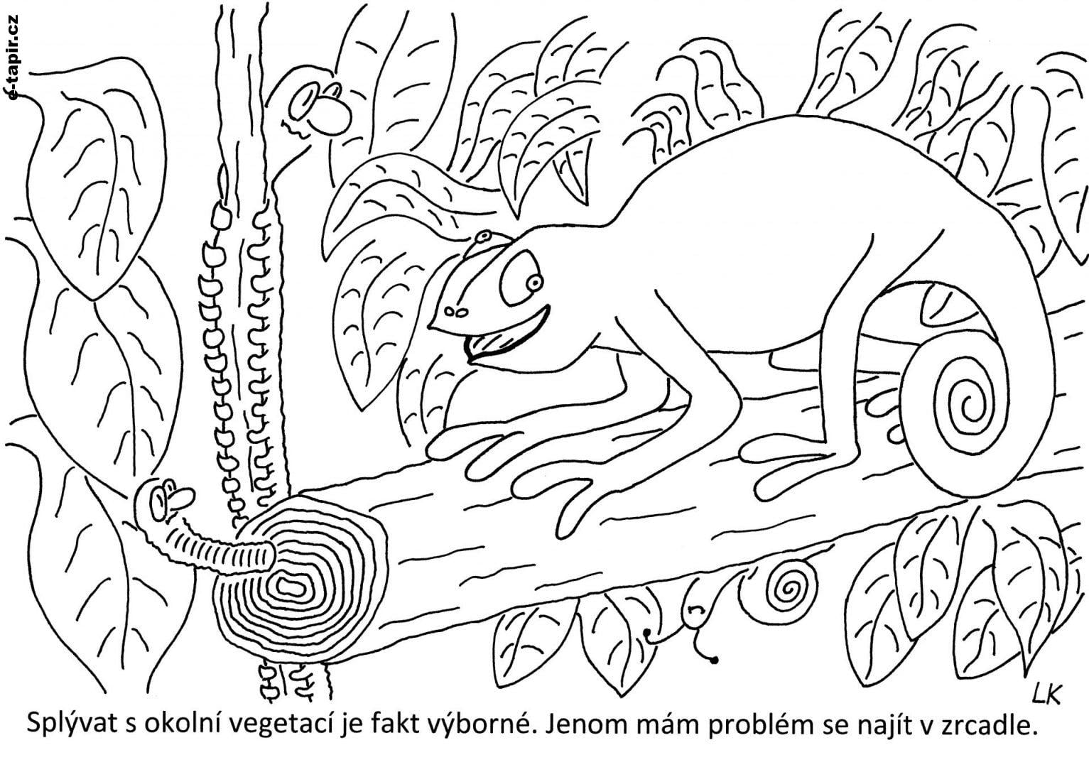 20210803 - 184-dc341bb1