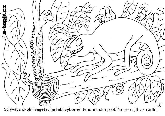 20210803 - 184-dc341bb1