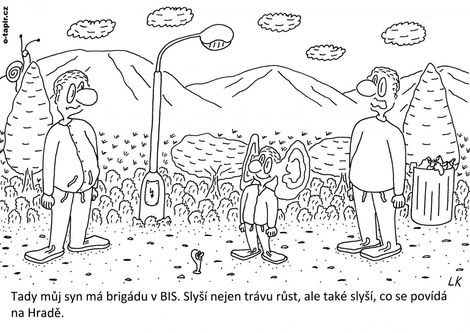 20210824 - 193-53cc36b1