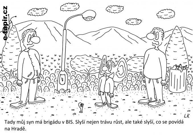 20210824 - 193-53cc36b1