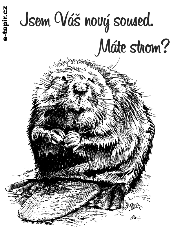 Bobr evropský fb-e7fee67d