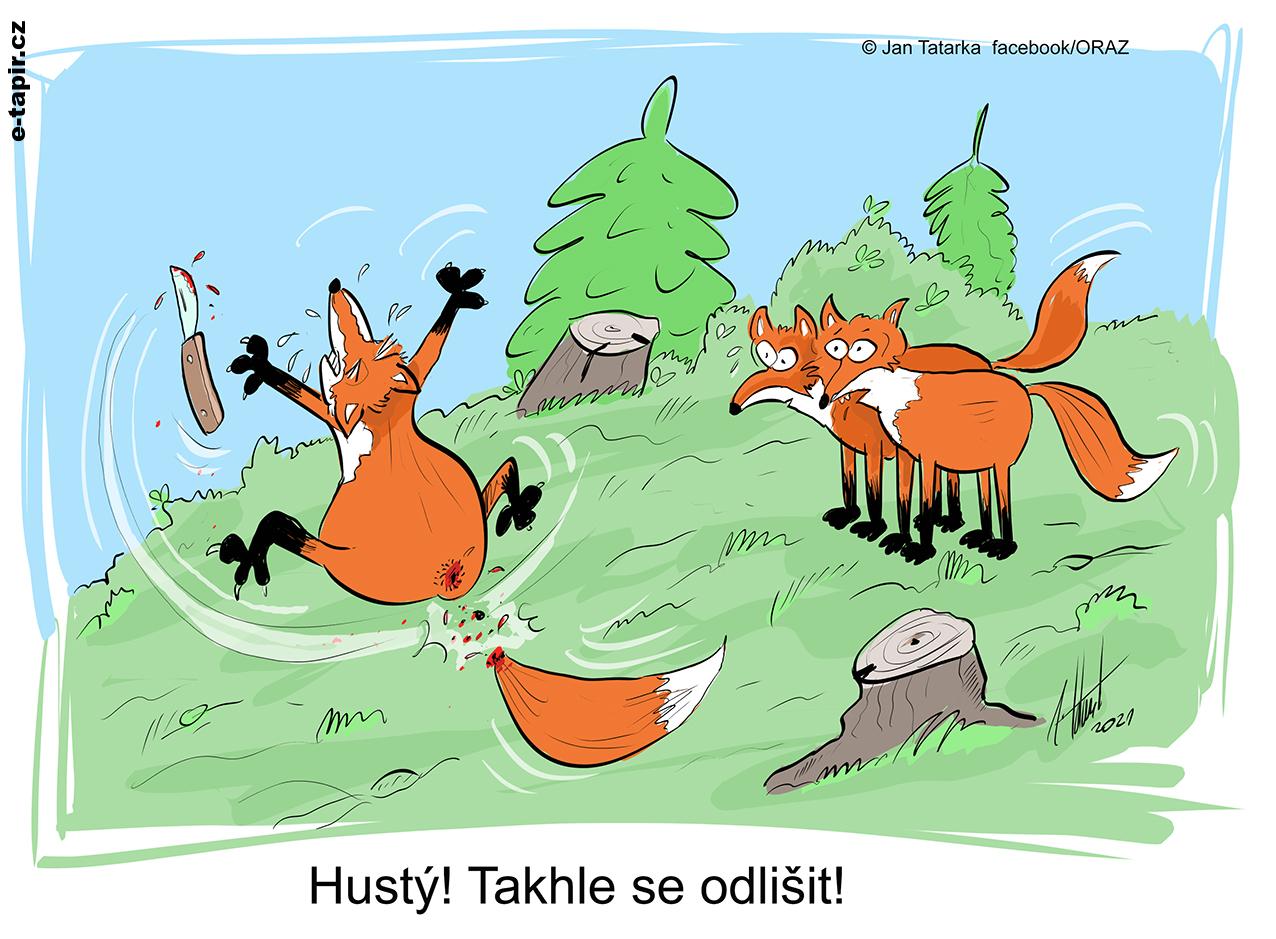 odlišit_WEB-6c170f73