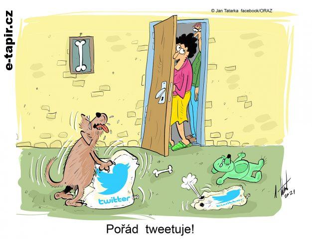 tweetuje_WEB-9a3f5d16